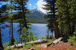 photo thumbnail #13