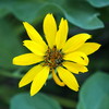 photo thumbnail #11
