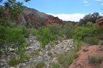 photo thumbnail #7