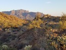 photo thumbnail #8
