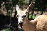photo thumbnail #9