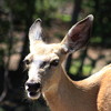 photo thumbnail #11