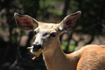 photo thumbnail #7