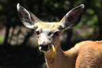 photo thumbnail #5