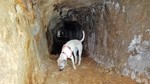 photo thumbnail #4