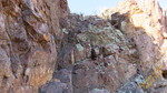 photo thumbnail #15