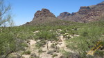 photo thumbnail #5
