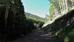 photo thumbnail #8
