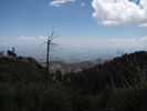 photo thumbnail #11