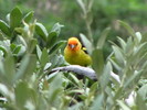 photo thumbnail #14