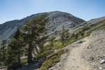 photo thumbnail #6