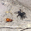 photo thumbnail #1