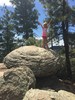 photo thumbnail #2