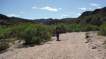 photo thumbnail #3