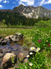 photo thumbnail #13