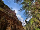 photo thumbnail #8