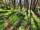 photo thumbnail #13
