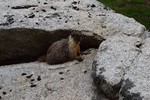 photo thumbnail #15