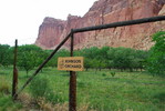 photo thumbnail #10