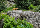 photo thumbnail #14