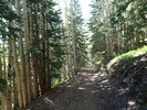 photo thumbnail #5