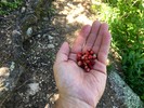 photo thumbnail #5