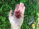 photo thumbnail #8