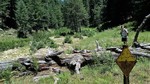 photo thumbnail #10
