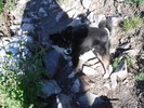 photo thumbnail #4