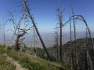 photo thumbnail #8