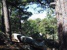 photo thumbnail #10