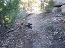 photo thumbnail #11