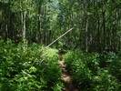 photo thumbnail #13