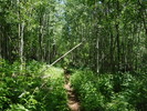 photo thumbnail #14