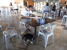 photo thumbnail #15