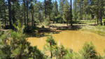 photo thumbnail #2