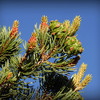 photo thumbnail #2