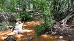 photo thumbnail #13