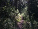 photo thumbnail #9