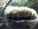 photo thumbnail #13
