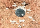 photo thumbnail #8