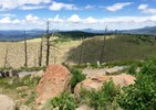 photo thumbnail #11