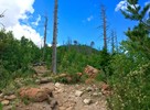 photo thumbnail #13
