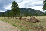 photo thumbnail #15