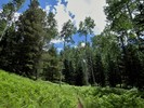 photo thumbnail #7