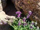 photo thumbnail #13