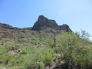 photo thumbnail #4