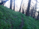 photo thumbnail #8