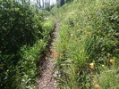 photo thumbnail #12