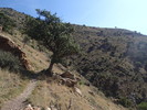 photo thumbnail #13